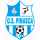 logo Pinasca